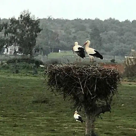 Lejlighed Quinta De Santo Antonio Ac2 *