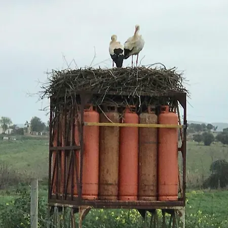 Quinta De Santo Antonio Ac2 Appartamento Lagos